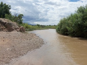 Virgin River at Little Jamaica, near Littlefield, AZ - September 2014