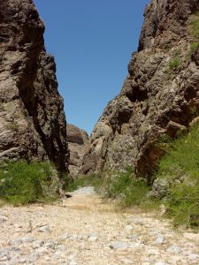 Slot section of Arrow Canyon Trail, Arrow Canyon Wilderness - April 2016