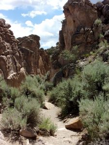The rock walls of Ash Canyon, Ash Canyon Trail, Echo Canyon State Park, NV - June 2016