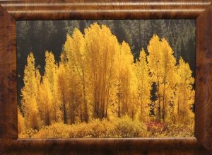 : ‘Golden Glow’ is a photo on canvas by photography artist Walt Adler. Photo by Teri Nehrenz