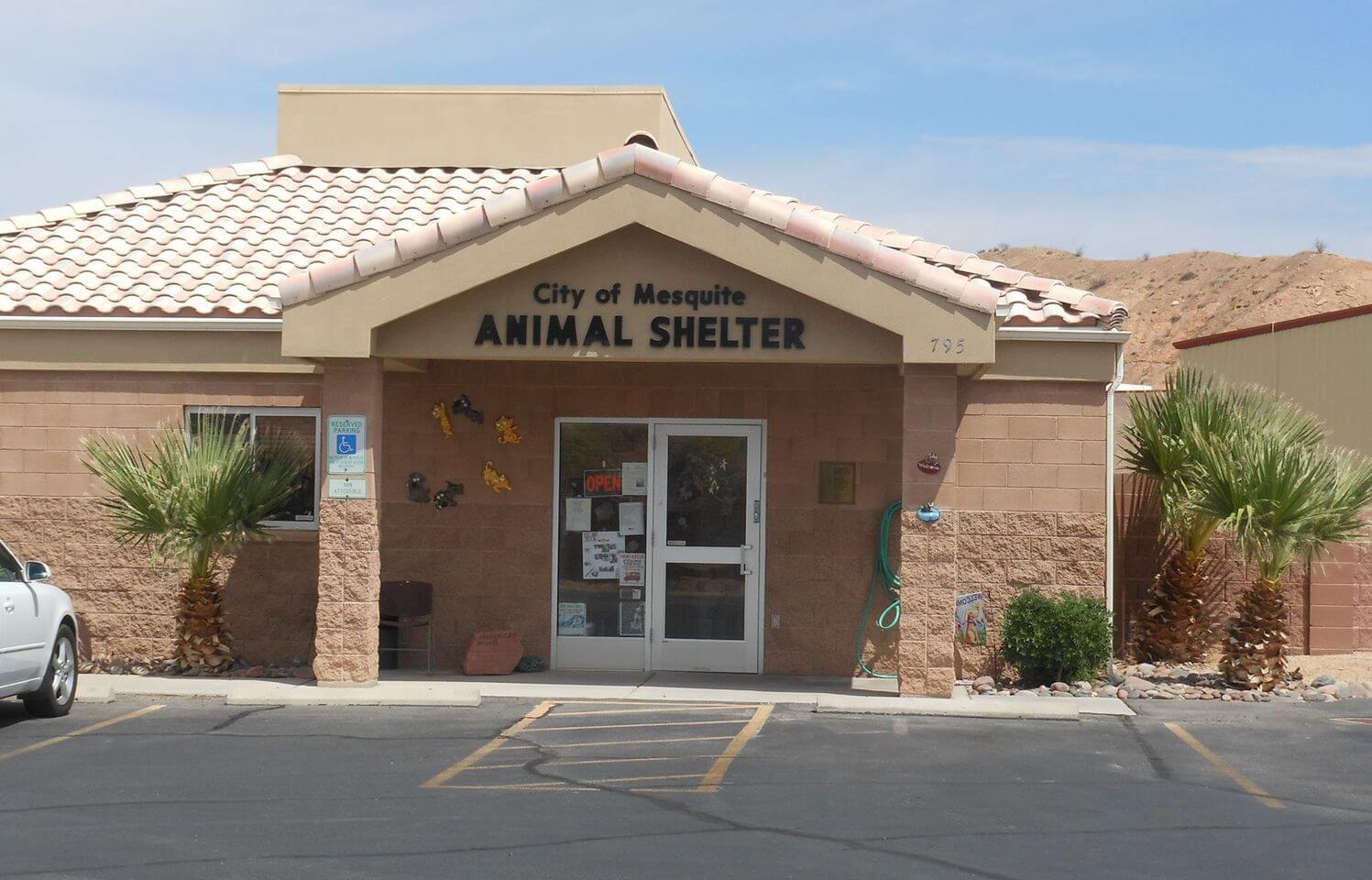 Mesquite Animal Shelter- Pets For Adoption | Mesquite Local News